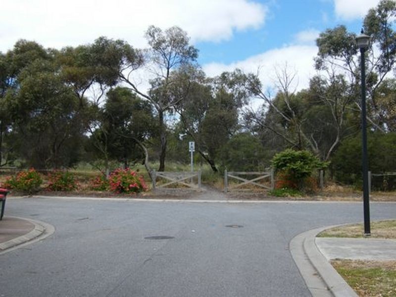 13 Goulding Grove, Noarlunga Downs SA 5168