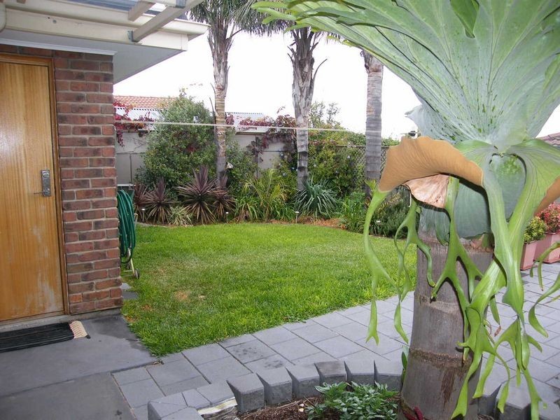 25 Freya Avenue, Hallett Cove SA 5158