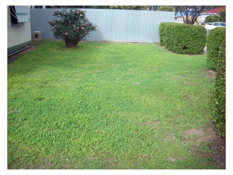 27 Nellie Avenue, Mitchell Park SA 5043