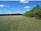 Calala, Walcha NSW 2354