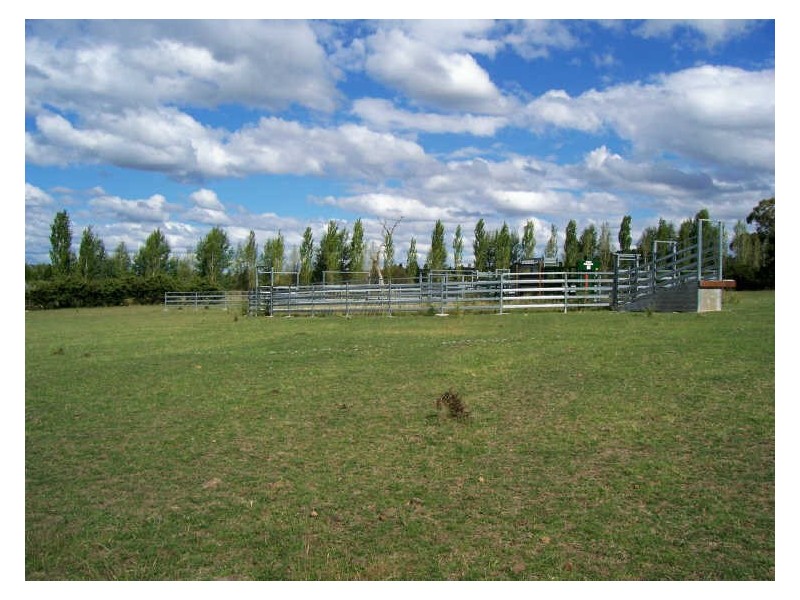 Calala, Walcha NSW 2354