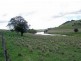 Calala, Walcha NSW 2354
