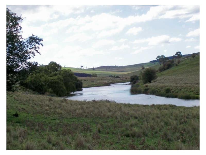 Calala, Walcha NSW 2354