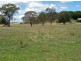 Calala, Walcha NSW 2354