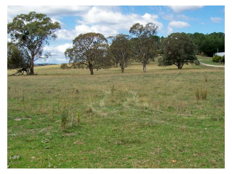 Calala, Walcha NSW 2354