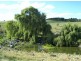 Calala, Walcha NSW 2354