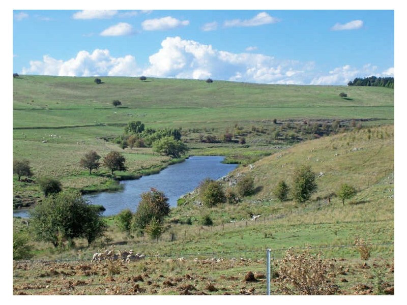 Calala, Walcha NSW 2354