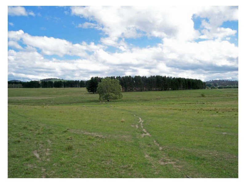 Calala, Walcha NSW 2354