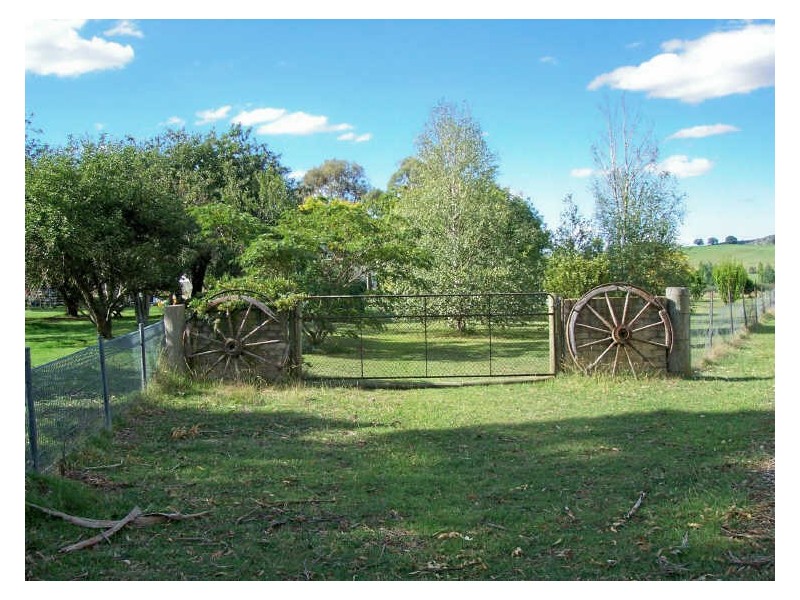 Calala, Walcha NSW 2354