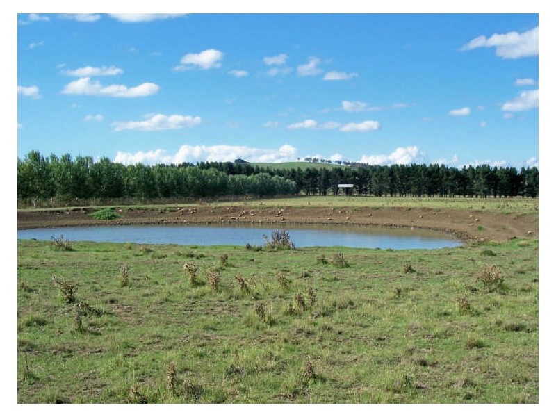 Calala, Walcha NSW 2354