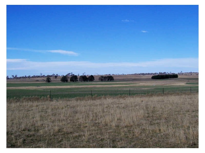 “Carmaria”, Uralla NSW 2358