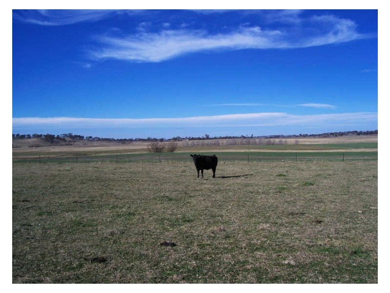 “Carmaria”, Uralla NSW 2358
