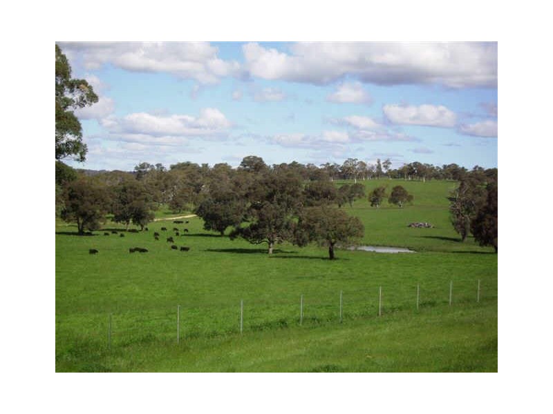 ” Banchory “, Walcha NSW 2354