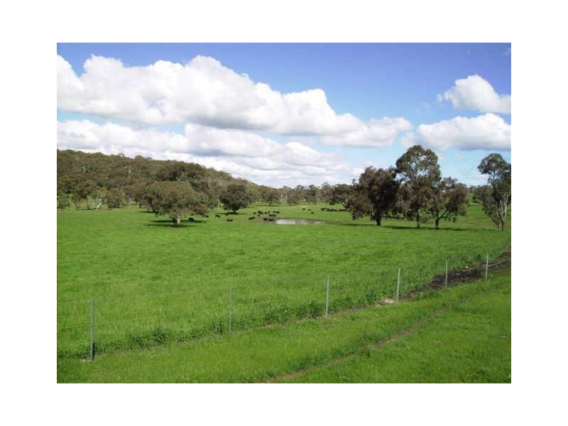 ” Banchory “, Walcha NSW 2354