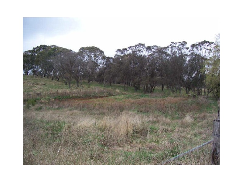 249 Sandon Street, Guyra NSW 2365