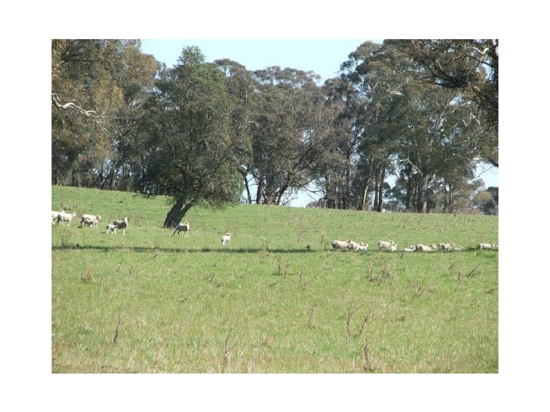 “The Pinnacle”, Walcha NSW 2354