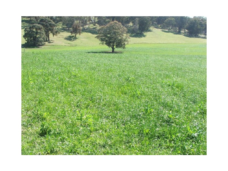 “The Pinnacle”, Walcha NSW 2354