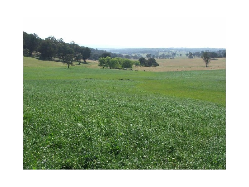 “The Pinnacle”, Walcha NSW 2354