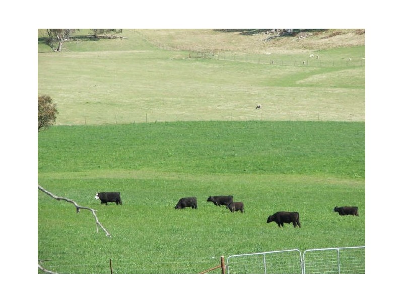 “The Pinnacle”, Walcha NSW 2354