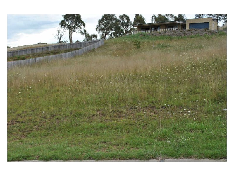 73 Ash Tree Drive, Armidale NSW 2350