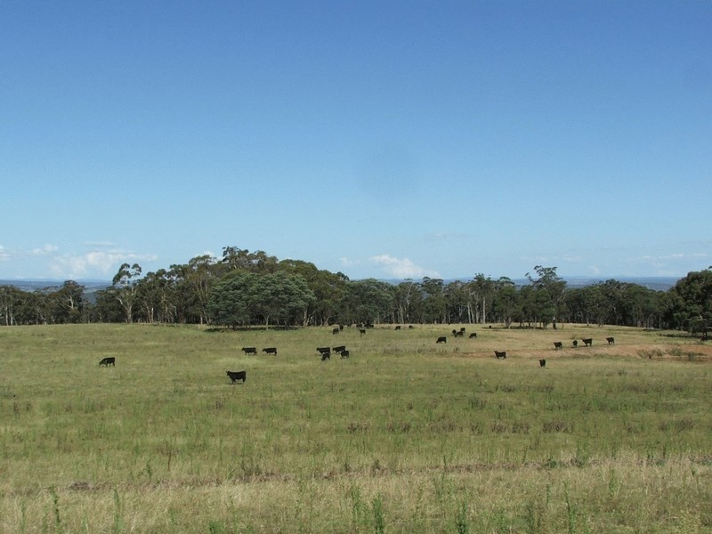 441 Toms Gully Road, Black Mountain NSW 2365