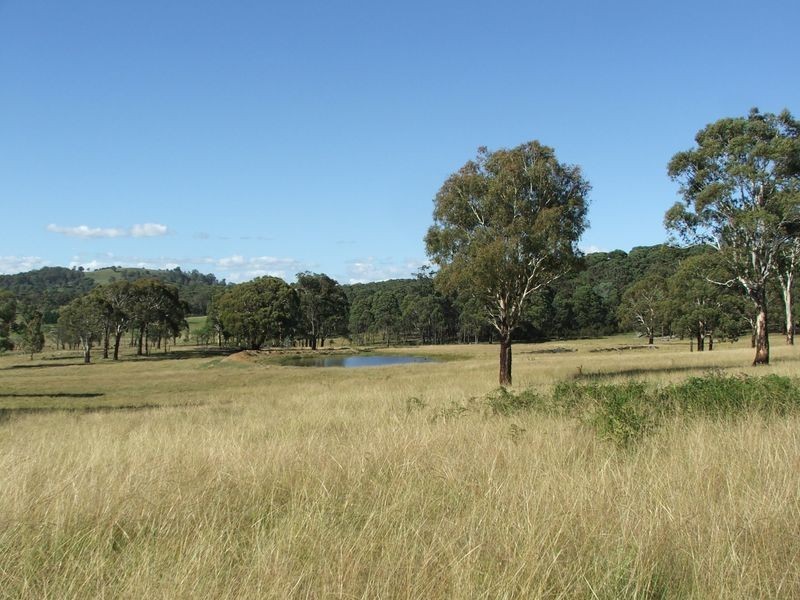 441 Toms Gully Road, Black Mountain NSW 2365