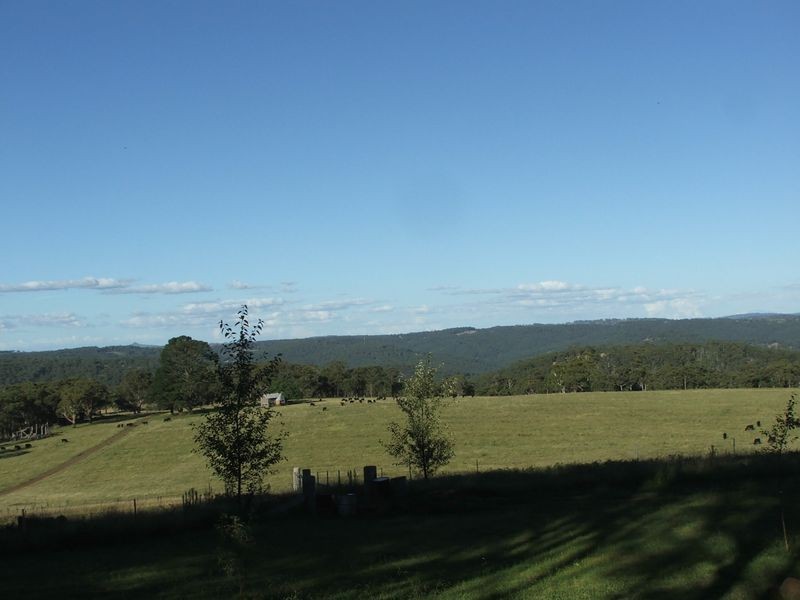 441 Toms Gully Road, Black Mountain NSW 2365