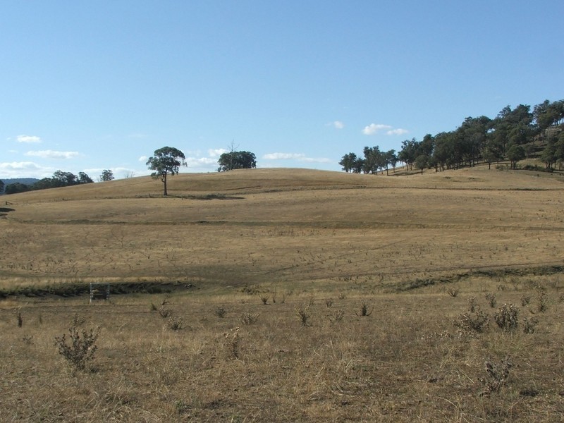 932 Puddledock Road, Armidale NSW 2350