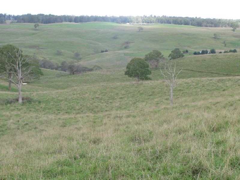 Allambie, Yarrowitch NSW 2354