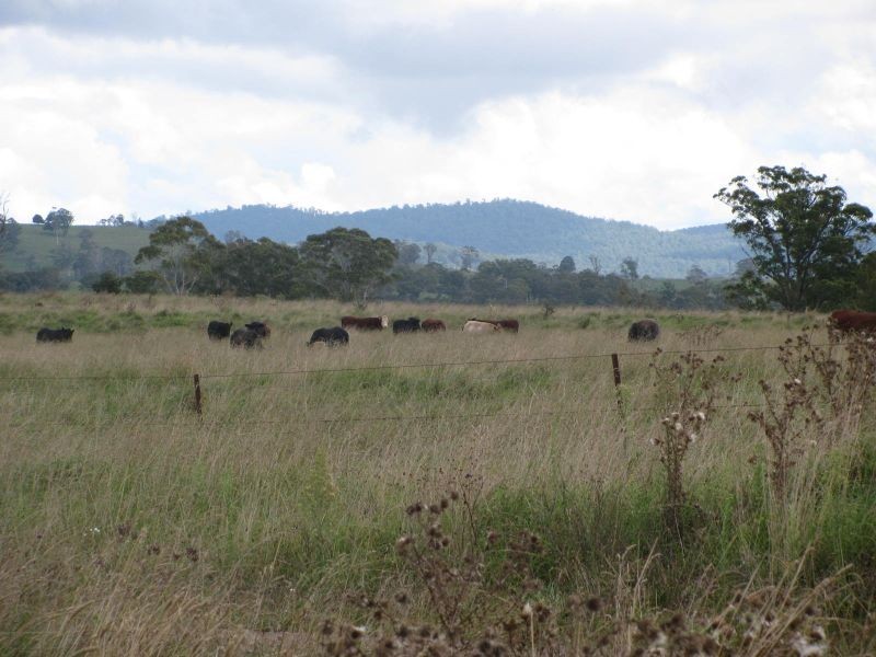 Allambie, Yarrowitch NSW 2354