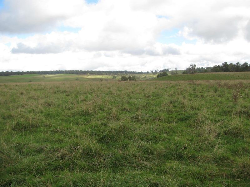 Allambie, Yarrowitch NSW 2354