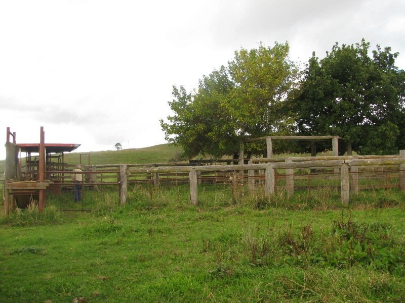 Allambie, Yarrowitch NSW 2354