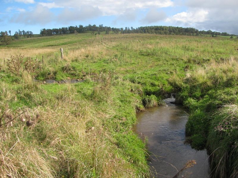 Allambie, Yarrowitch NSW 2354