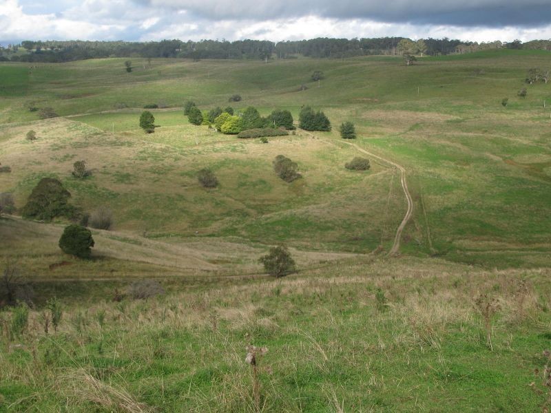 Allambie, Yarrowitch NSW 2354