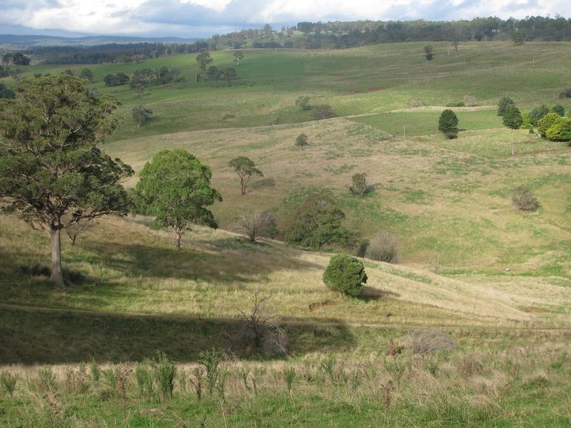 Allambie, Yarrowitch NSW 2354