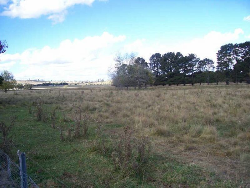Adgin Green, Uralla NSW 2358