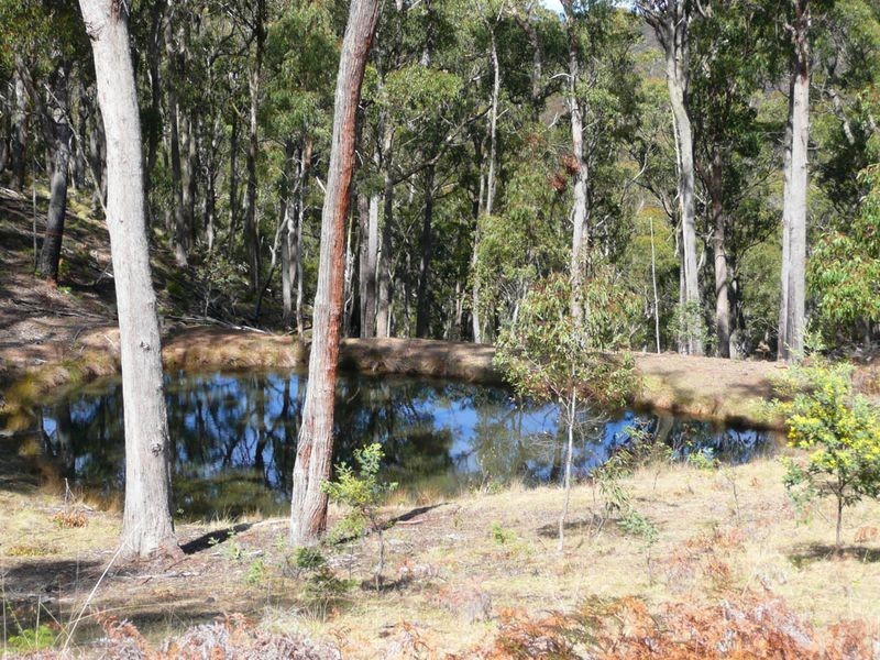 Lot 1 Thunderbolts Cave Road, Black Mountain NSW 2365