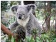 Lot 1 Thunderbolts Cave Road, Black Mountain NSW 2365