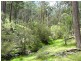 Lot 1 Thunderbolts Cave Road, Black Mountain NSW 2365
