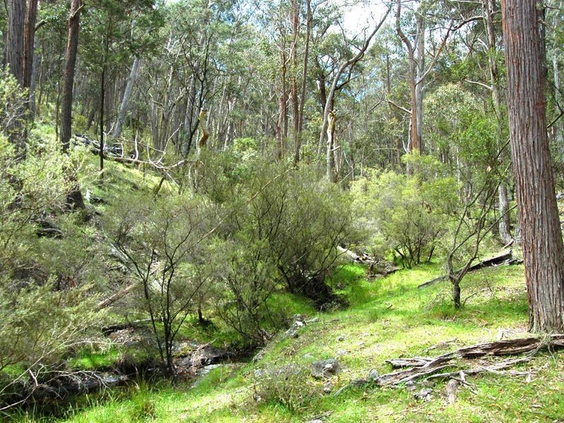 Lot 1 Thunderbolts Cave Road, Black Mountain NSW 2365