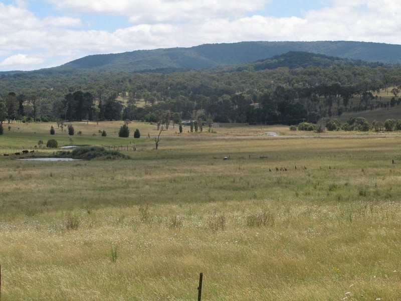 25 Meadow Road, Armidale NSW 2350