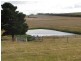 387 Thunderbolts Way, Walcha NSW 2354