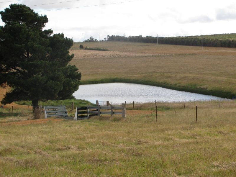 387 Thunderbolts Way, Walcha NSW 2354
