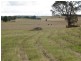 387 Thunderbolts Way, Walcha NSW 2354