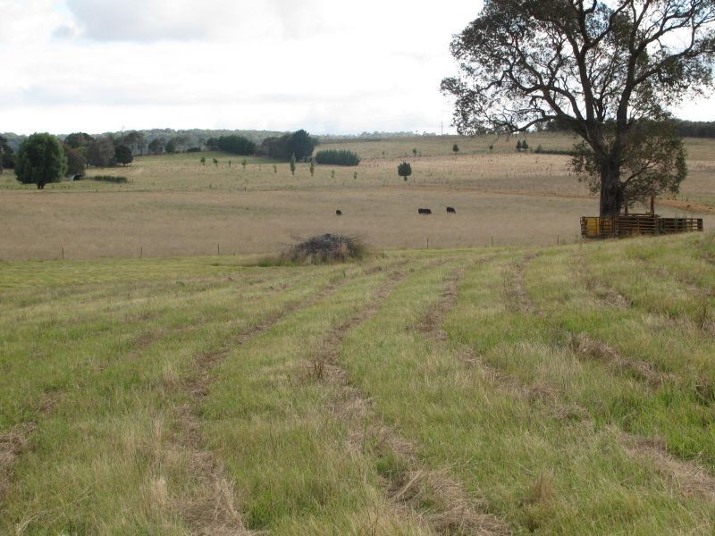 387 Thunderbolts Way, Walcha NSW 2354