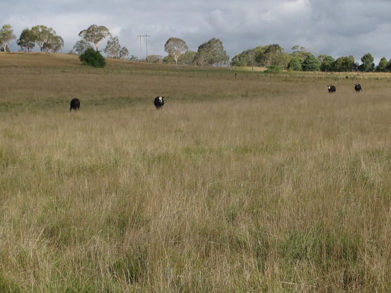 387 Thunderbolts Way, Walcha NSW 2354