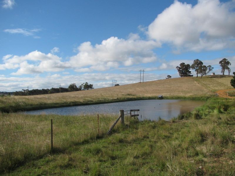 387 Thunderbolts Way, Walcha NSW 2354