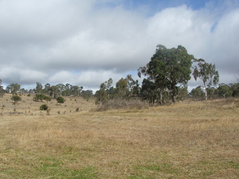 53b The Avenue, Armidale NSW 2350