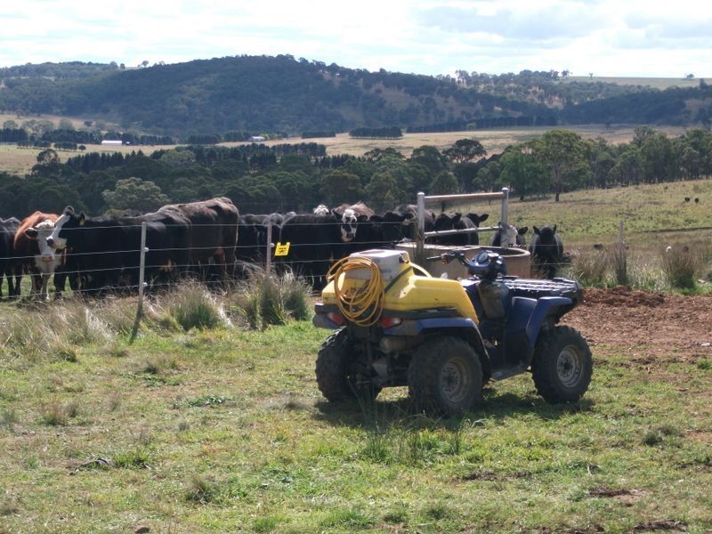 Falls View Oxley Highway, Walcha NSW 2354