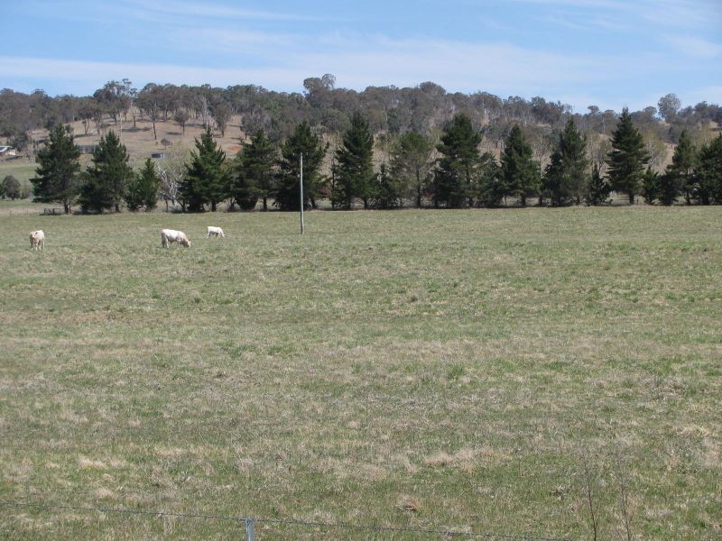 88 Hanlan Road, Armidale NSW 2350